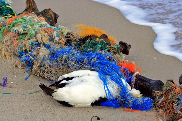 Fishing for Litter, gemeinsam für saubere Nord- und Ostsee - NABU