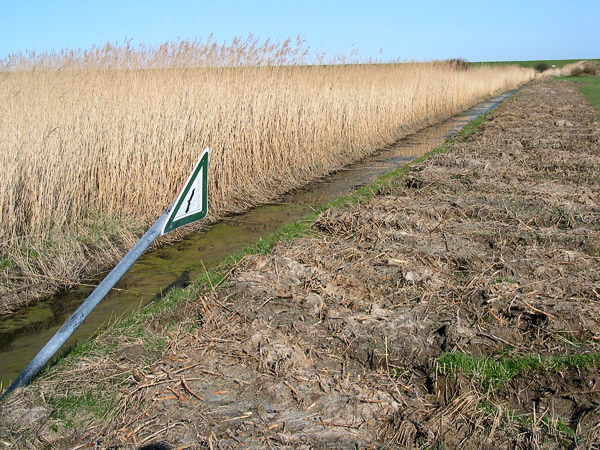 Ausgebaggerter Graben