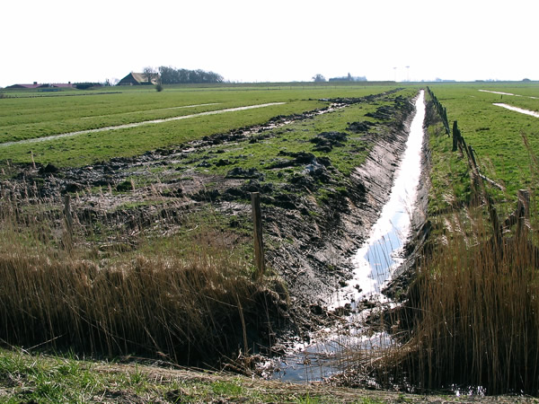 Ausgebaggerter Graben